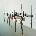 ABG8620̯�̻�ƽ����